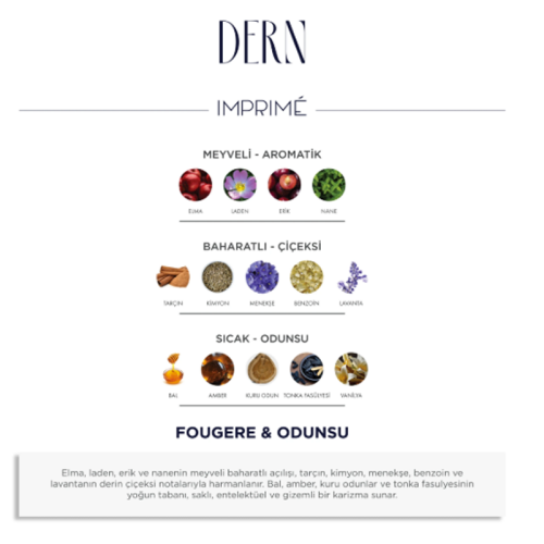 Imprime Dern EDP Erkek Parfüm 50 ml - 2