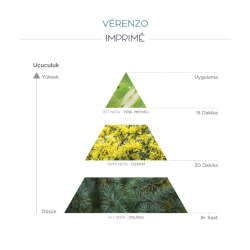 Imprime Vérenzo EDP Unisex Parfüm 100 ml - 4