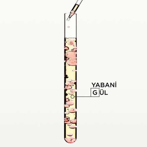 Kerastase Gloss Absolu Glaze Milk Elektriklenme Karşıtı Sprey Bakım Sütü 190 ml - 3