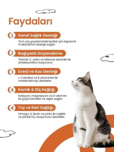 Livepet Multivitamin For Cats 21 g - 3