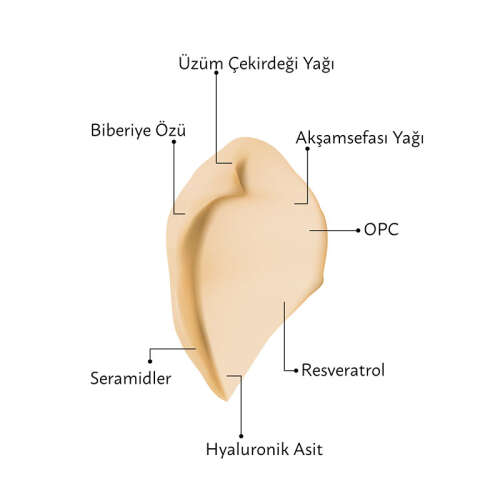 M. Asam VINOLIFT Yaşlanma ve Kırışıklık Karşıtı Sıkılaştırıcı Yüz Kremi 50 ml - 4