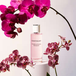 Miss SO Scentology Vanilla Latte & Velvet Woods Kadın Parfüm EDP 100 ml - 3