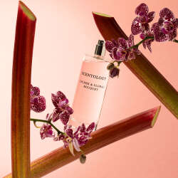 Miss SO Scentology Vanilla Latte & Velvet Woods Kadın Parfüm EDP 100 ml - 5