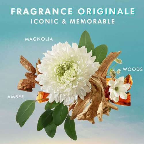 Moroccanoil Shower Gel 250 ml - 6