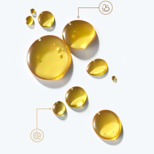 Moroccanoil Treatment 100 ml - 4