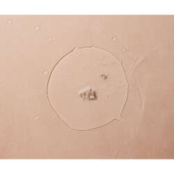 Mustela Physiobebe Durulama Gerektirmeyen Temizleyici Sıvı 300ml - 3