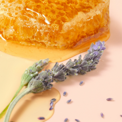 Nuxe Reve de Miel Dudak Balı 10 ml - 5