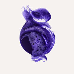 Olaplex No. 4P Blonde Enhancer Toning Shampoo 1000 ml - 2