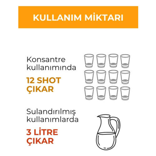 Otsa Konsantre Zencefil Shot 350 g - 4