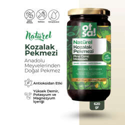 Otsa Natürel Kozalak Pekmezi 620 g - 2