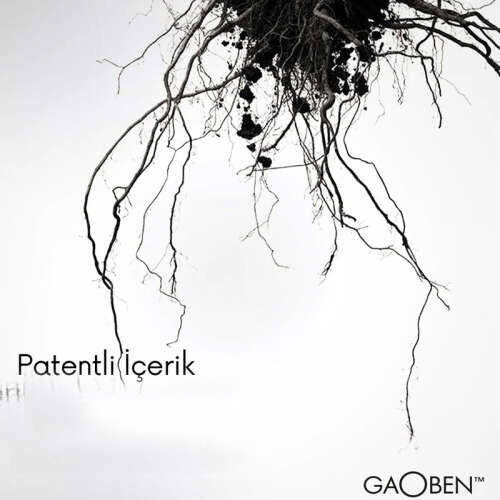 Shayen Paris Gaoben Doğal Krem 50 ml - 4