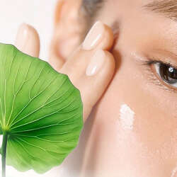 Shayen Gaoben Doğal Serum 30 ml - 4