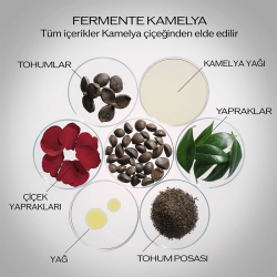 Shiseido Ultimune Power Infusing Concentrate Serum 30 ml - 2