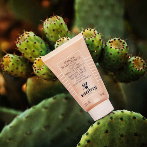 Sisley Masque Eclat Express Maske 60 ml - 2
