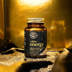 Solgar Cellular Energy Takviye Edici Gıda 28 Bitkisel Kapsül - 2