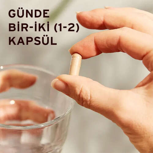 Solgar Reishi Shiitake Maitake Mushroom Extract 50 Bitkisel Kapsül - 3