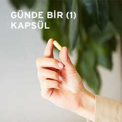 Solgar Vitamin B-Complex 50 - 50 Bitkisel Kapsül - 3