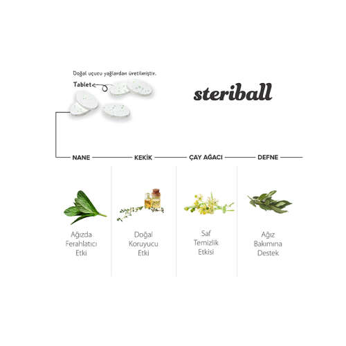 Steriball Pilli veya Şarjlı Diş Fırçaları İçin Hijyenik Diş Fırçası Kabı - Mavi - 2