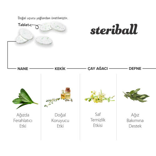 Steriball Pilli veya Şarjlı Diş Fırçaları İçin Hijyenik Diş Fırçası Kabı - Şeffaf - 3