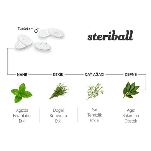 Steriball Pilli veya Şarjlı Diş Fırçaları İçin Hijyenik Diş Fırçası Kabı - Şeffaf ve Pembe - 2