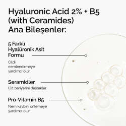 The Ordinary Hyaluronic Acid %2 + B5 60 ml - 2