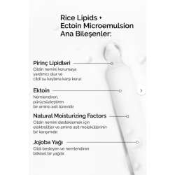 The Ordinary Rice Lipids + Ectoin Microemulsion 120 ml - 4
