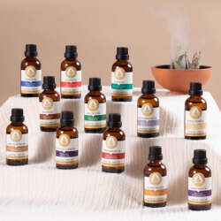 Therapium Naturalis Argan Yağı 50 ml - 3