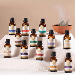 Therapium Naturalis Buğday Özü Yağı 50 ml - 3