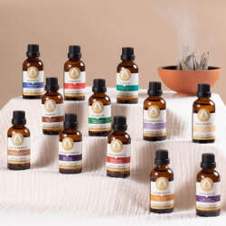 Therapium Naturalis Üzüm Çekirdeği Yağı Vitis Viinifera 50 ml - 2