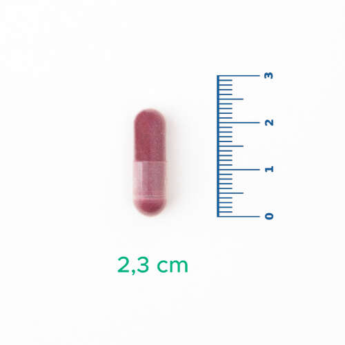 Velavit Turna Yemişi ve C Vitamini İçeren Takviye Edici Gıda 30 Kapsül - 3