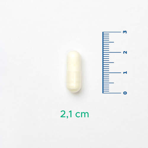 Velavit V-Alpha Lipoic Acid Takviye Edici Gıda 30 Kapsül - 4