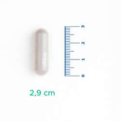 Velavit V-Firstect with Colostrum Takviye Edici Gıda 30 Kapsül - 3