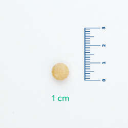 Velavit V-Iron & Vitamin C İçeren Takviye Edici Gıda 30 Tablet - 3