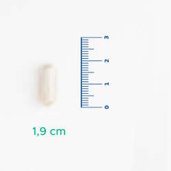 Velavit V-Nattokinase Takviye Edici Gıda 30 Kapsül - 3