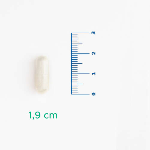 Velavit V-Nattokinase Takviye Edici Gıda 30 Kapsül - 3