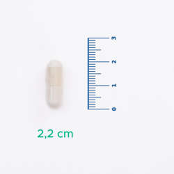 Velavit V-NR Takviye Edici Gıda 30 Kapsül - 5