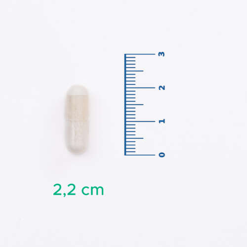 Velavit V-NR Takviye Edici Gıda 30 Kapsül - 5