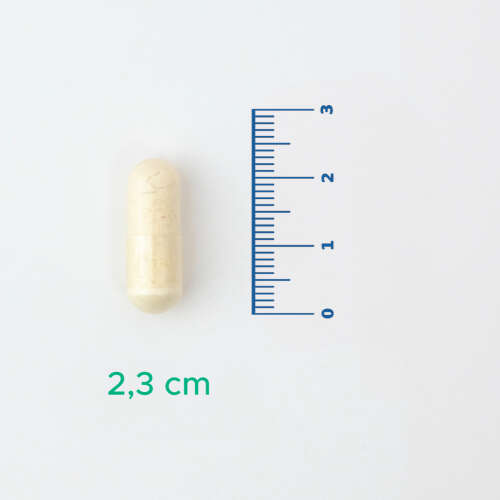 Velavit V-Probiotics Enzymes Takviye Edici Gıda 30 Kapsül - 3