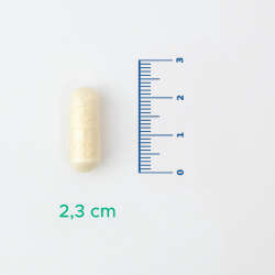 Velavit V-Probiotics Enzymes Takviye Edici Gıda 30 Kapsül - 3