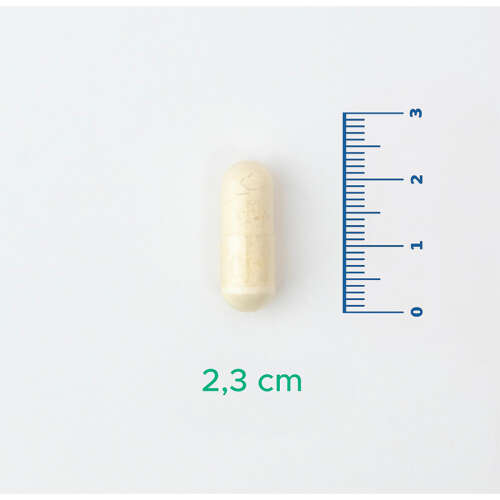 Velavit V-Probiotics Enzymes Takviye Edici Gıda 30 Kapsül - 4