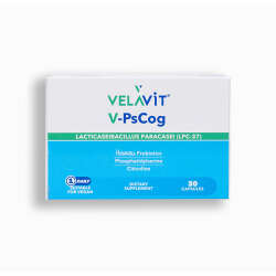 Velavit V-PsCog Takviye Edici Gıda 30 Kapsül - 1