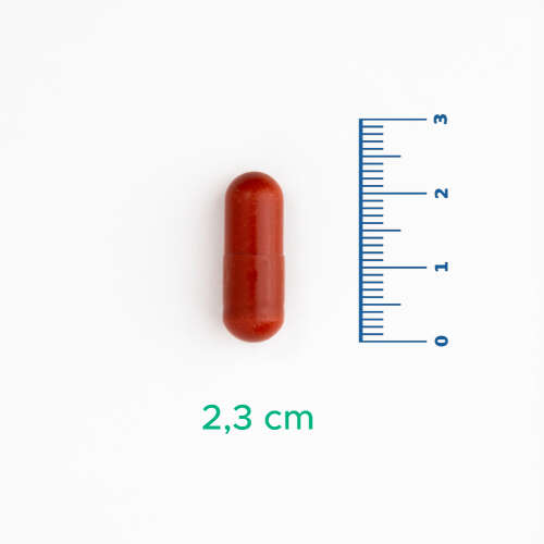 Velavit Viva BrnX Takviye Edici Gıda 60 Tablet - 3