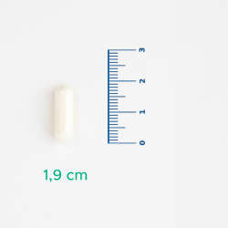 Velavit Viva Ceramide Seramid İçeren Takviye Edici Gıda 30 Kapsül - 4