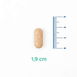 Velavit Viva ClrX Takviye Edici Gıda 60 Tablet - 4