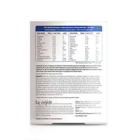 Vitabiotics Wellman Original 30 Tablet - 2