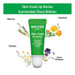 Weleda Skin Food Organik Besleyici Dudak Balmı 8 ml - Thumbnail