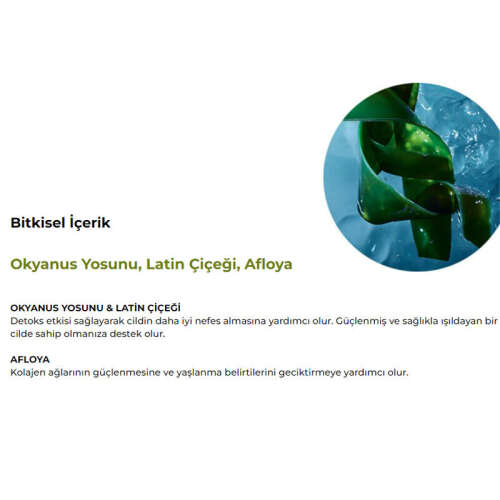 Yves Rocher Elixir Botanique Detoks Etkili 50 Faktör Koruyuculu Yaşlanma Karşıtı Yüz Kremi 30 ml - 6