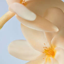 Yves Rocher Monoi Saç ve Vücut Şampuanı 400 ml - 9