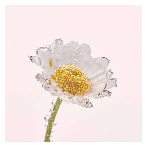 Yves Rocher Pure Camomile Yüz Yıkama Makyaj Temizleme Yağı 150 ml - 5