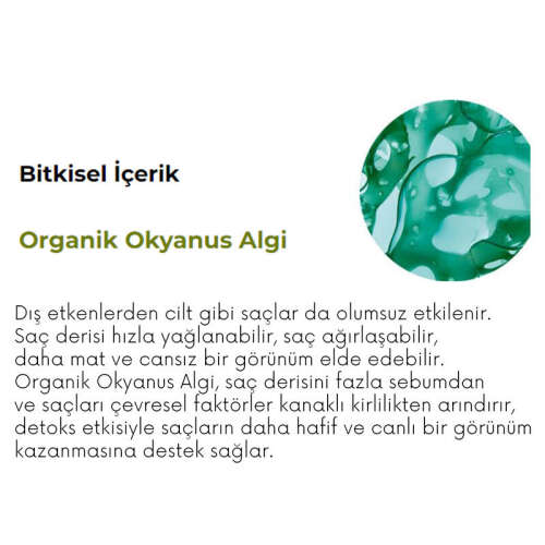 Yves Rocher Pure Detox Yağlı Saçlar için Arındırıcı Saç Kremi 200 ml - 4